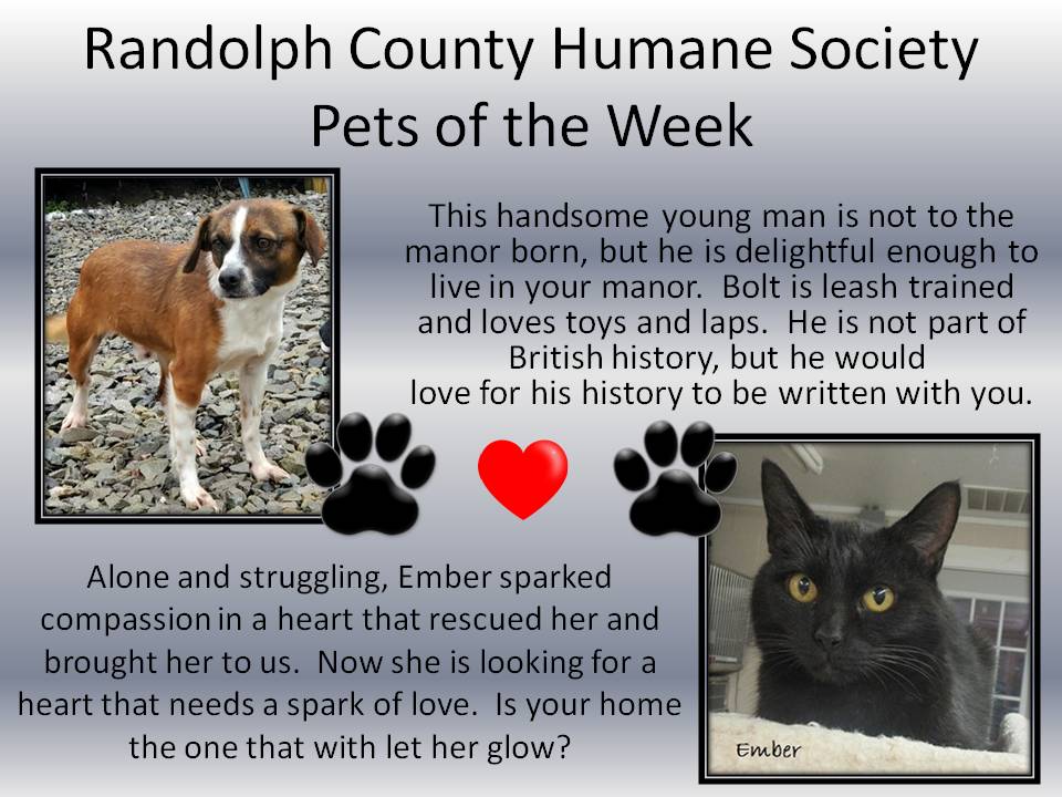 This image has an empty alt attribute; its file name is Randolph-County-Humane-Society-5.jpg